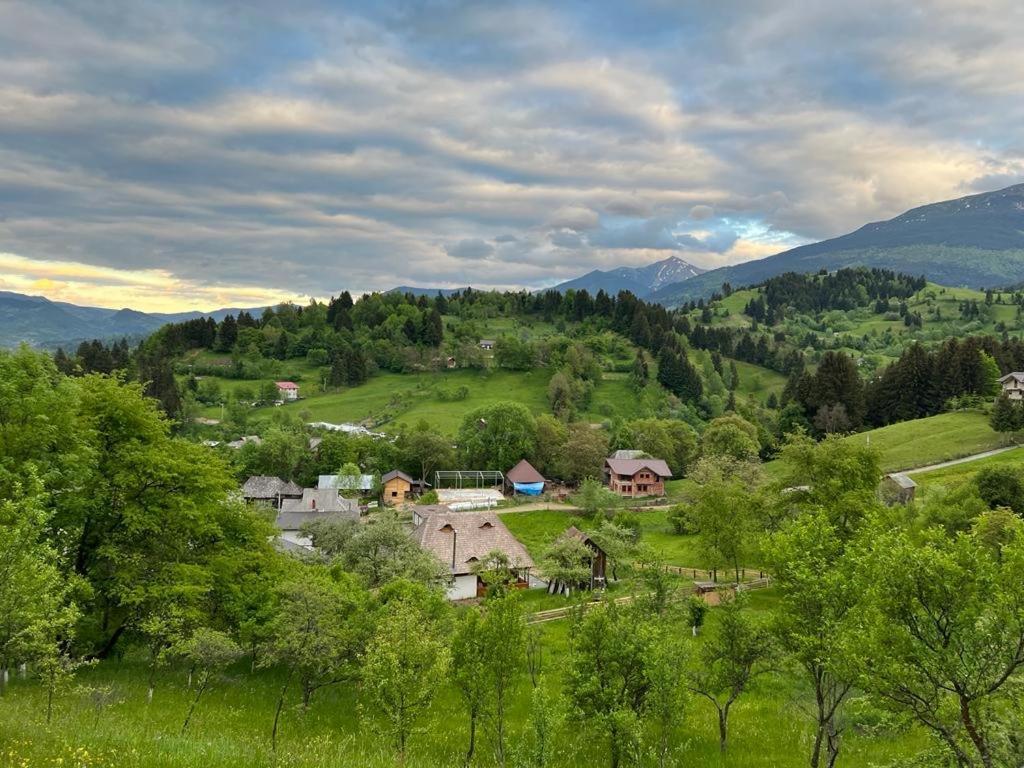 La Bujda Lu Mosu Villa บอร์ชา ภายนอก รูปภาพ