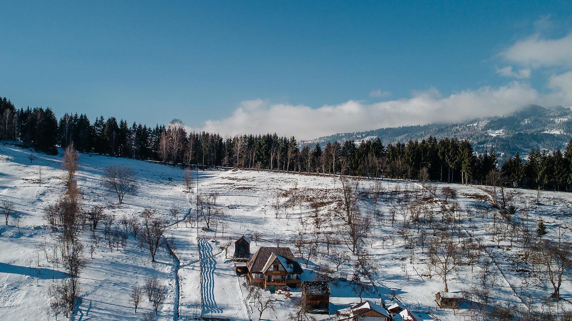 La Bujda Lu Mosu Villa บอร์ชา ภายนอก รูปภาพ